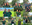 Brown Geometric My Family Photo Collage-2.png
